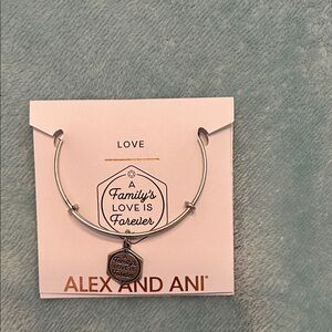 Alex and Ani “A Family’s Love is Forever” Charm Bracelet